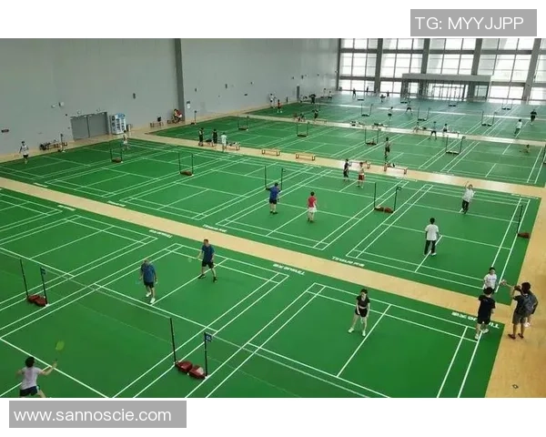 西安羽毛球队技术分析与训练方法探讨助力运动员提升竞技水平