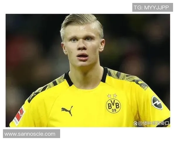 足球明星哈兰德的成长之路与辉煌成就全解析